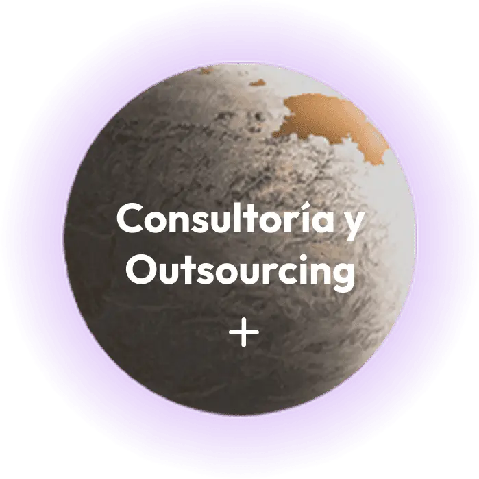 Servicios de gestion y consultoría